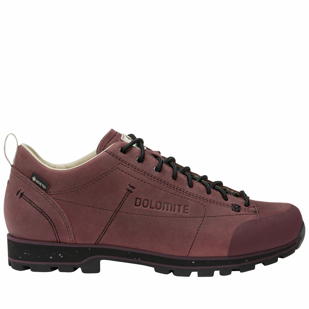 DOLOMITE 54 Low Fg Evo GORE-TEX Schuh